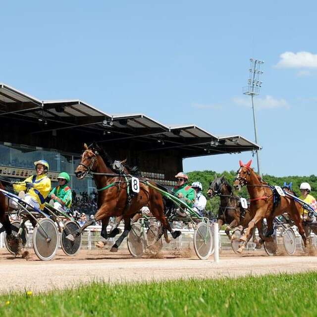 Tiercé gagnant - Hippodrome de Laval