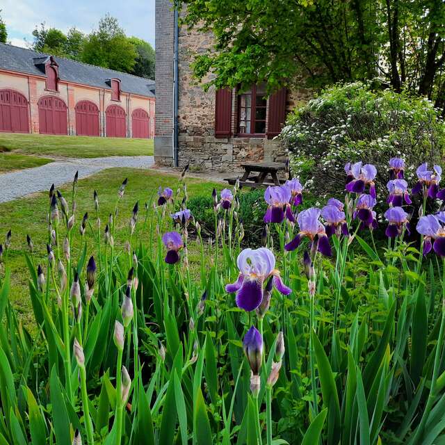 Gîte de l'Orangerie du Château