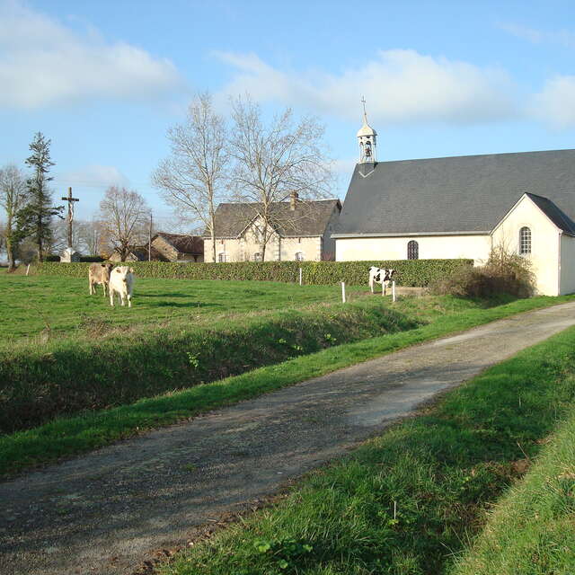 CIRCUIT DES CHATEAUX À DAON (n°14)