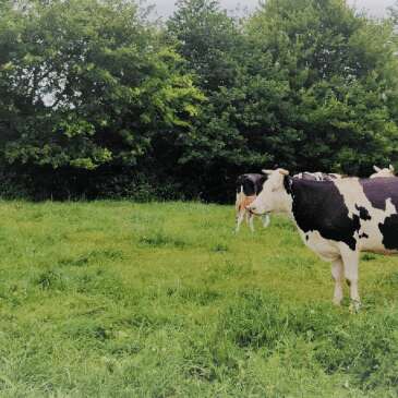 Ferme Bio