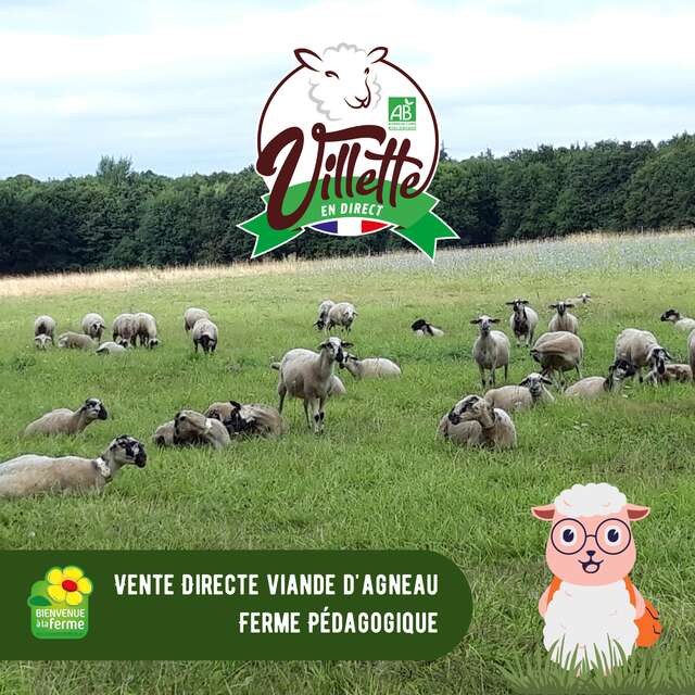VILLETTE EN DIRECT