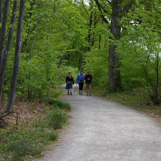 Boucle de Saint-Berthevin