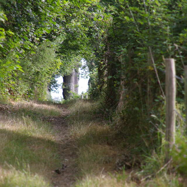 Circuit des Pierres plates