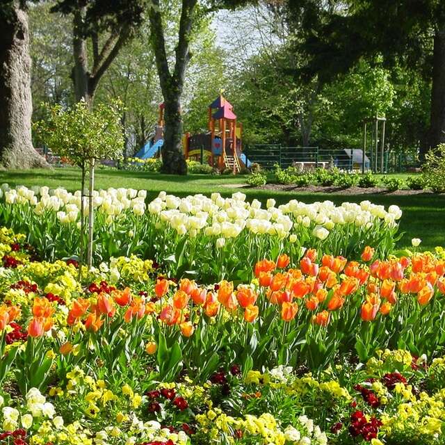 JARDIN DU BOUT DU MONDE