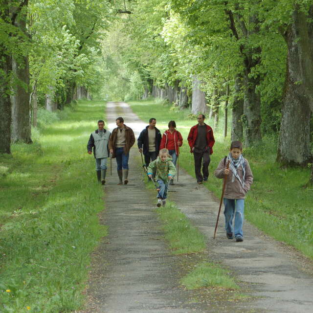 BOUCLE MULTI-RANDONNÉES N°03 - SECTEUR SAULGES, CHAMMES, ST JEAN SUR ERVE, ST PIERRE SUR ERVE ET THORIGNÉ