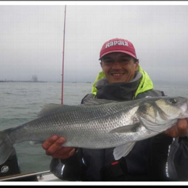 Bretagne Esprit Pêche - guide de pêche