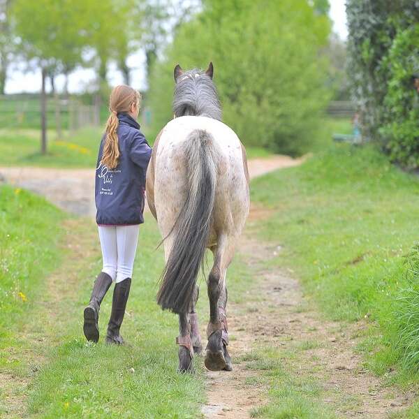 Domaine Equestre de Valaly