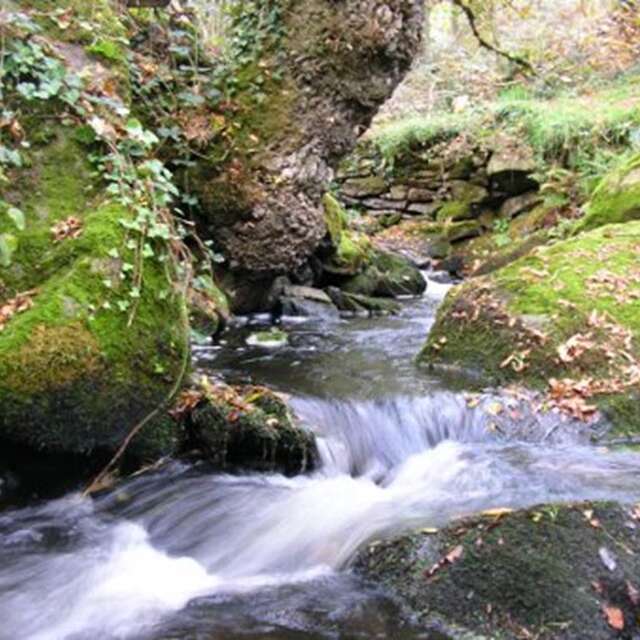 Pêche parcours Le Pont-Christ