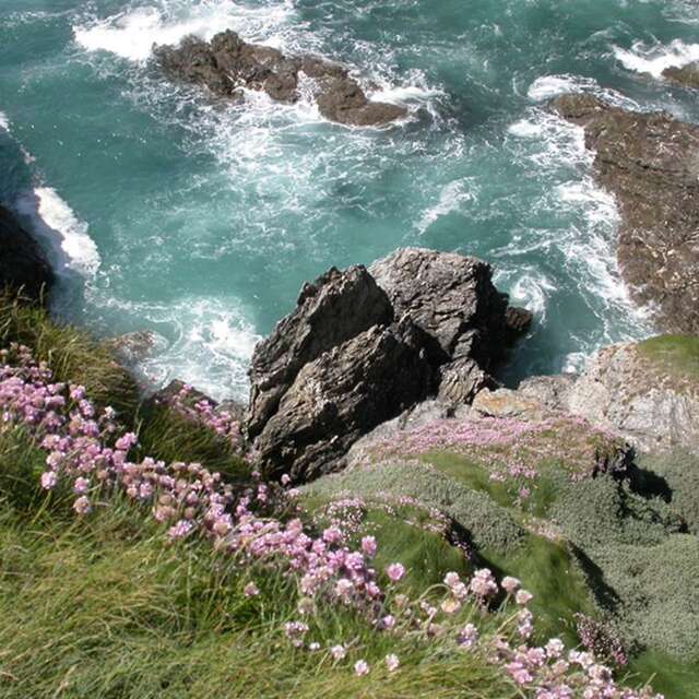 Côte Sauvage