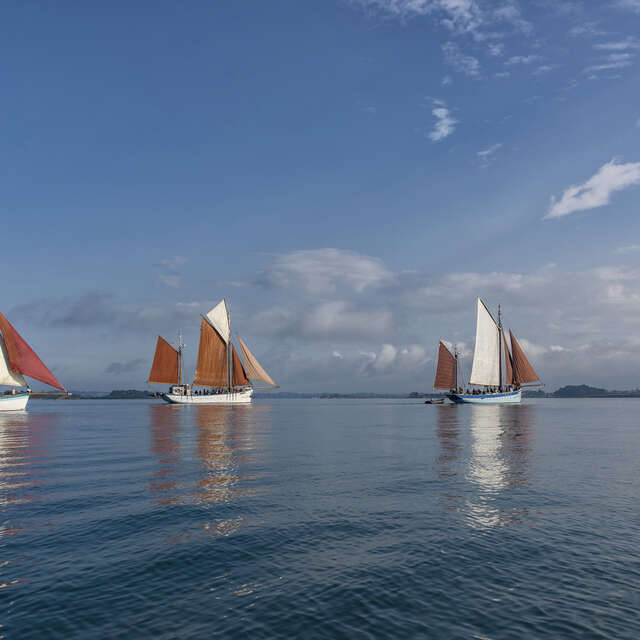 Voiliers Traditionnels du Morbihan