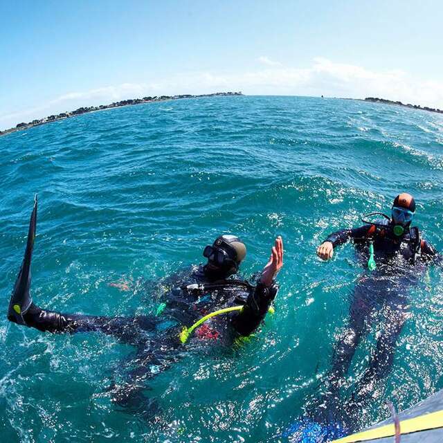 H2JO : Centre de Plongée et formation permis bateau