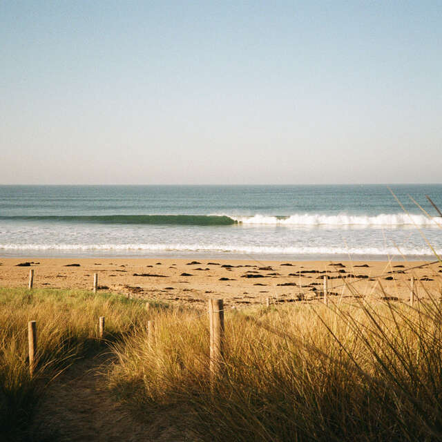 Blast Surf School