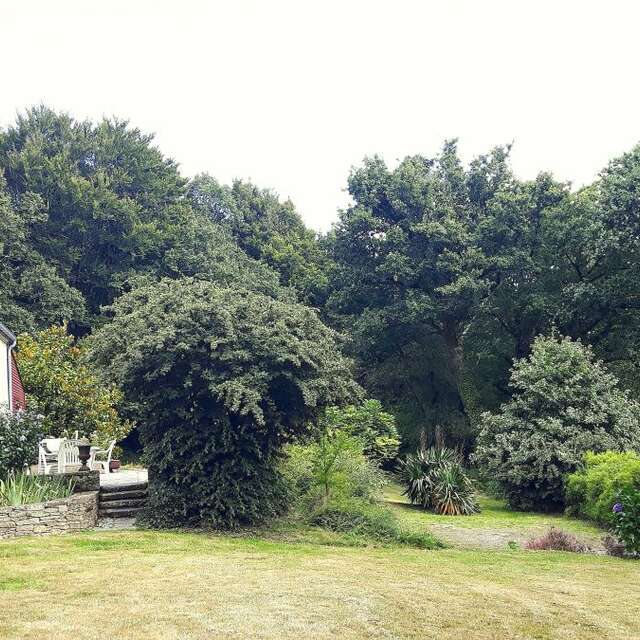Gîte Les Hortensias