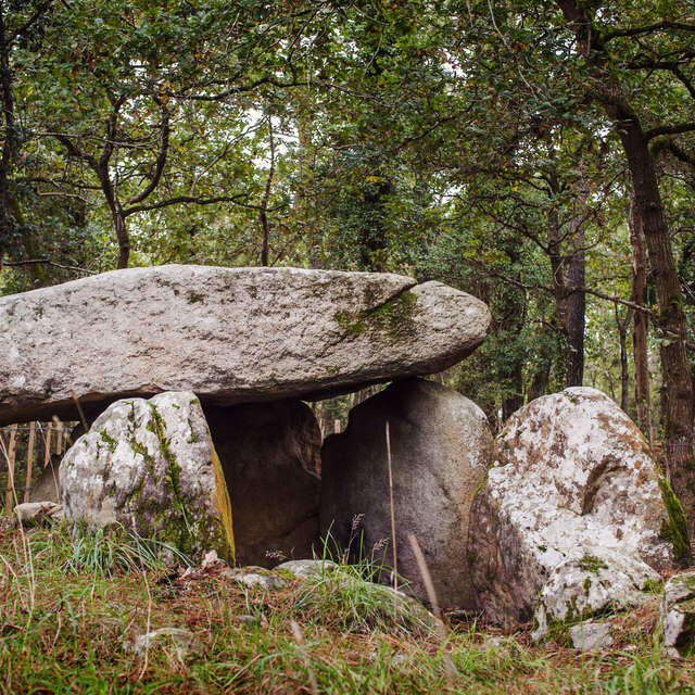 Dolmen de Mané Canaplaye