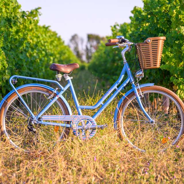 Beach Bikes Bretagne