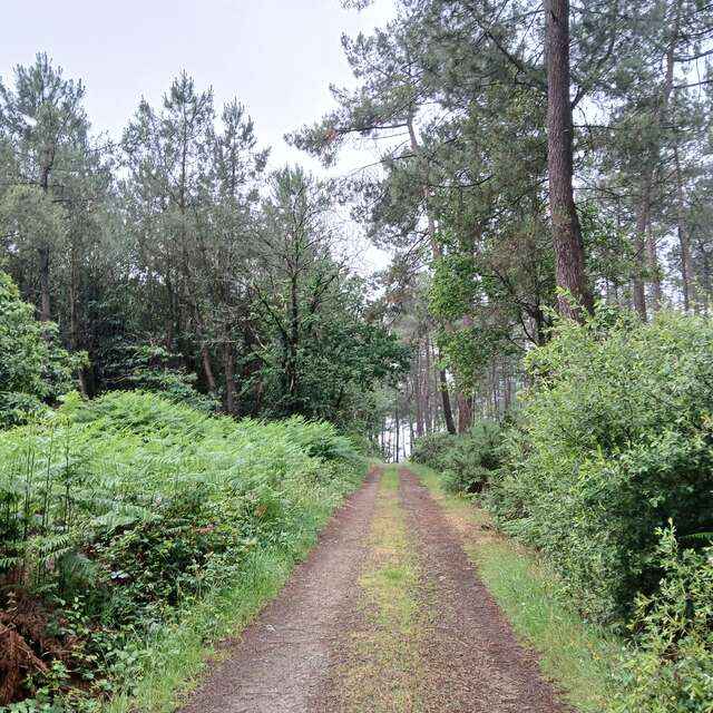 Circuit des Landes de Béganne