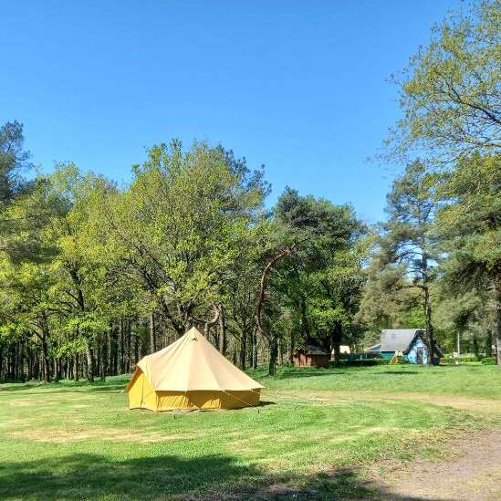 Les insolites de Brocéliande