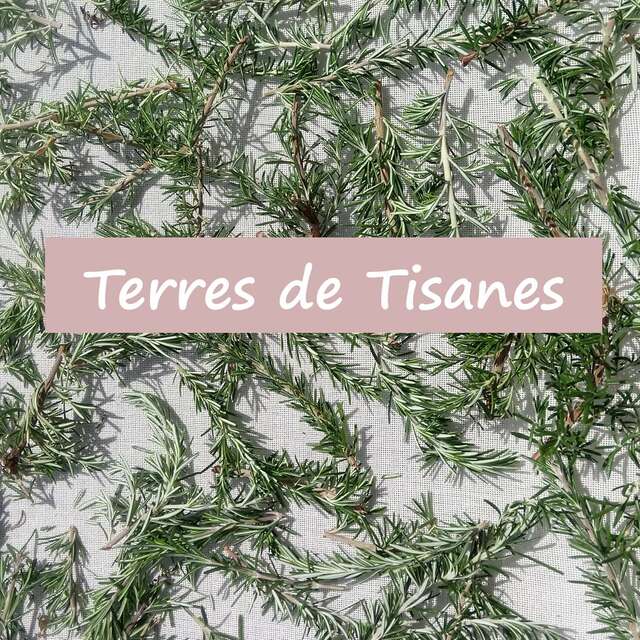 Terres de Tisanes