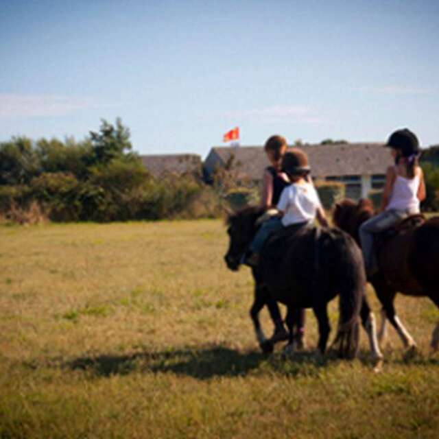Arzon Equitation