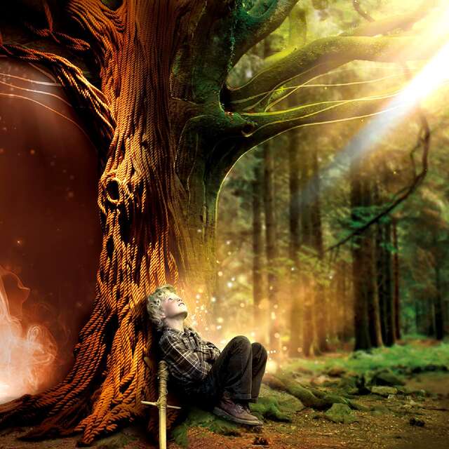 Brocéliande, la Porte des Secrets