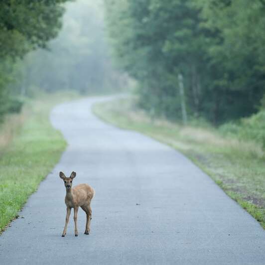 VP 22 - Circuit de Pleucadeuc