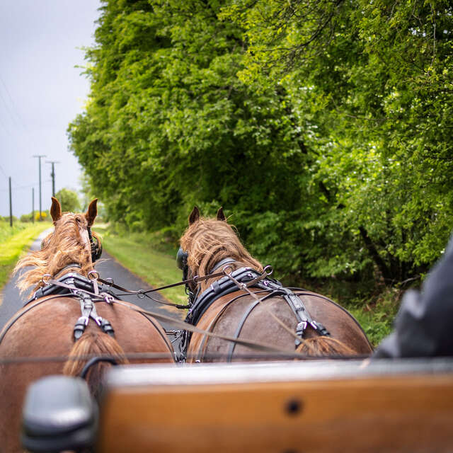 Boucle d'attelage du Lac du Bel Air