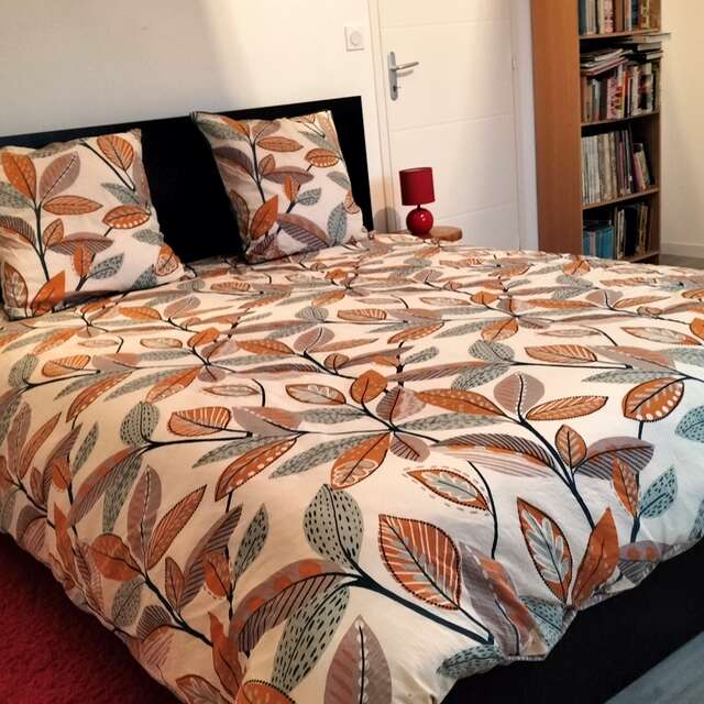 Au Beau Geai