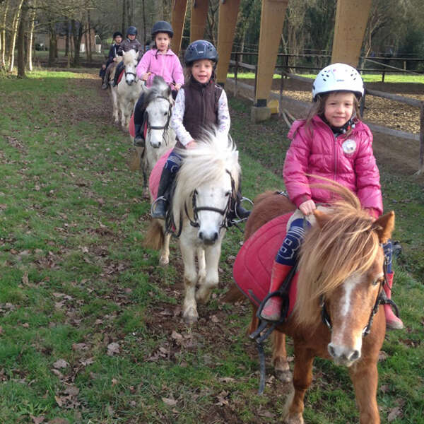 Promenades en poney