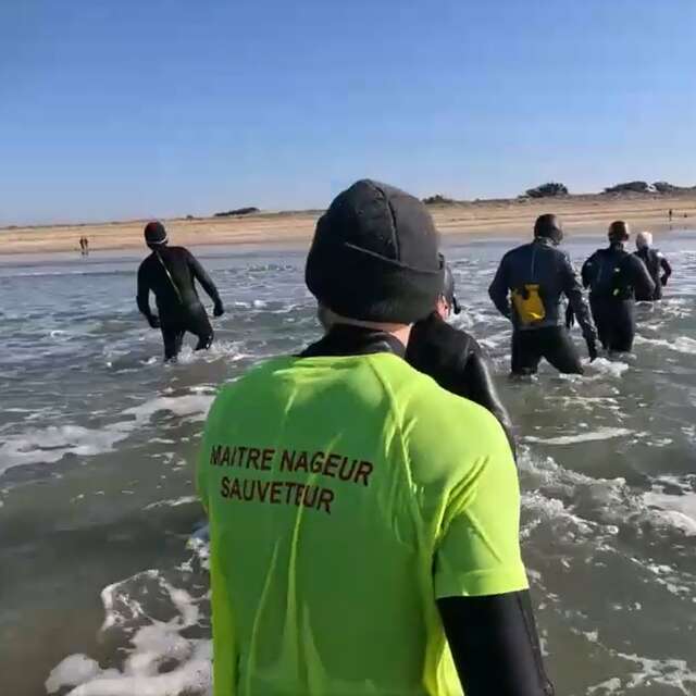 Activités Aquatiques Pays d'Auray - Longe côte