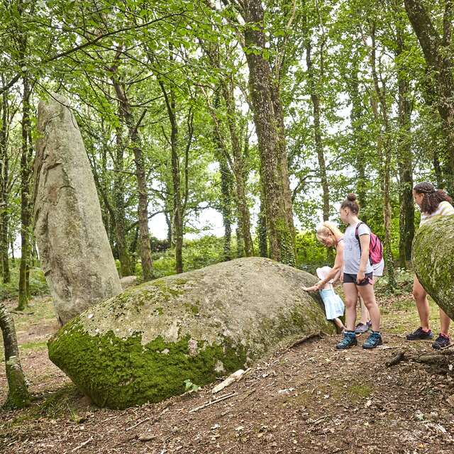 Grand menhir de Kermarquer