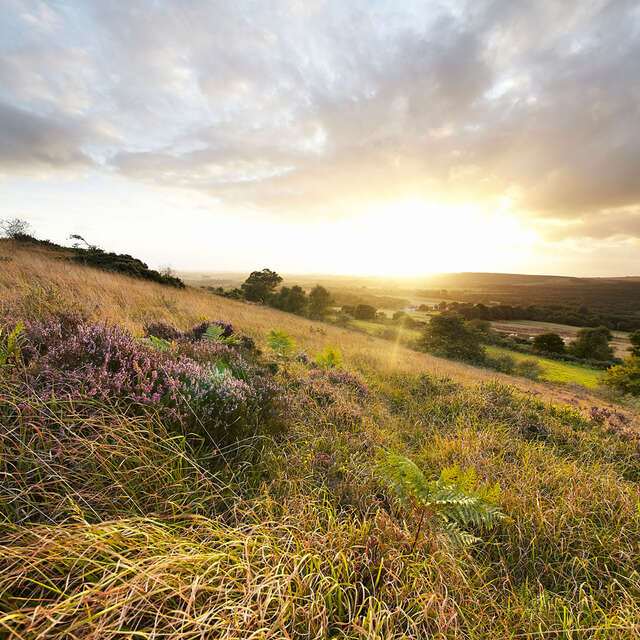 Circuit trail 45 - Grand tour des Montagnes Noires