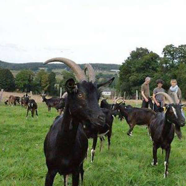 J-Gabriel Moriou & Catherine Pautret