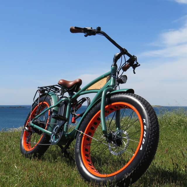 Loriginal Location - Fatbike électrique