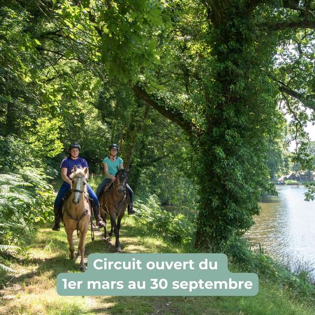 14. Circuit endurance équestre sur les hauteurs de Quénécan