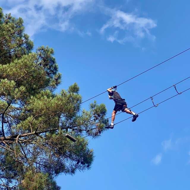 Escapades verticales : accrobranche