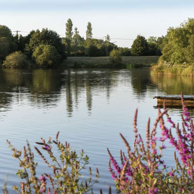 Etang d’er Lann Vras