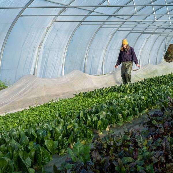 Ferme de la Rougeraie