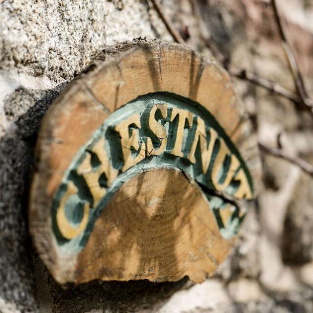 La Forêt Totem - Chesnut