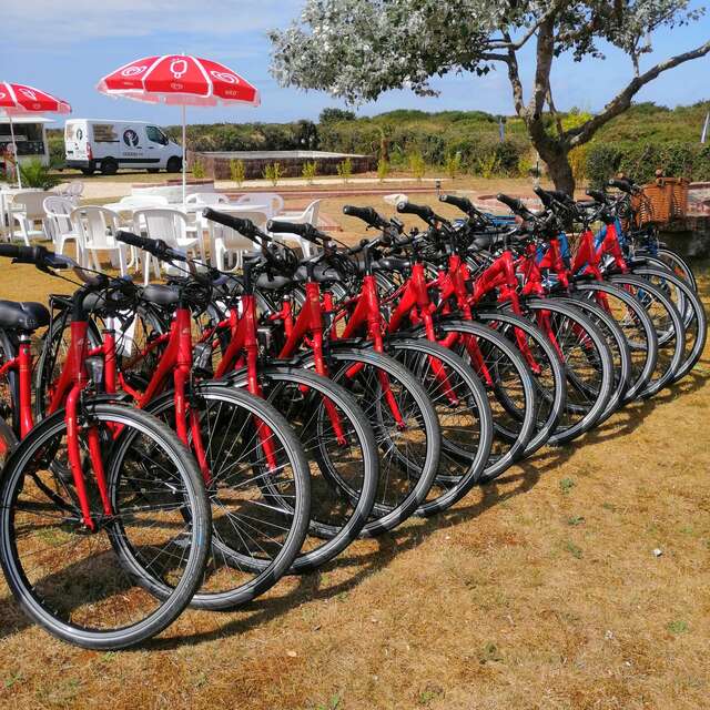 Erdeven Location Vélos by Véloc' Ouest