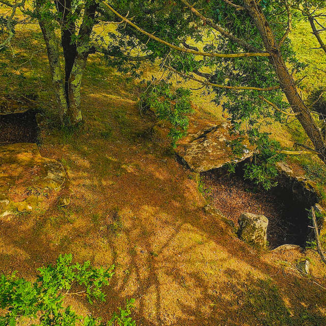 Dolmen de Kervilor Mané Bras