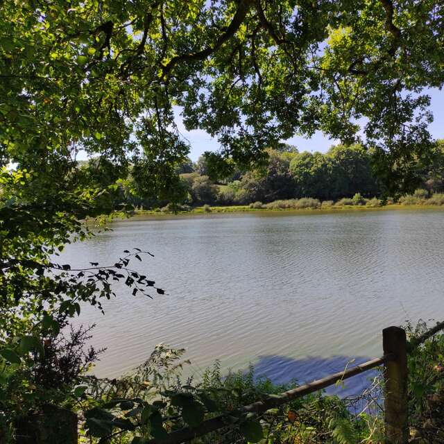 Etang du Dordu