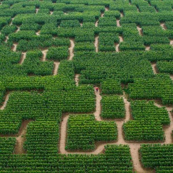 Pop Corn Labyrinthe Sarzeau