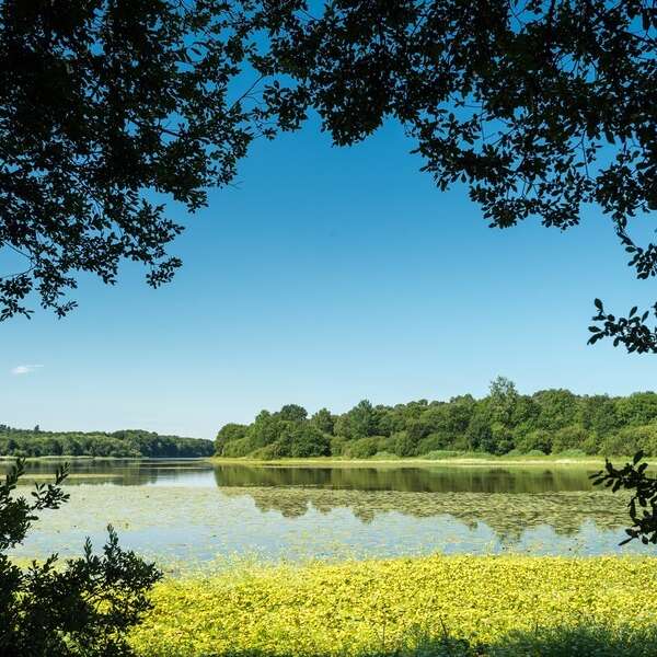 VP 2 - Autour du Lac au Duc