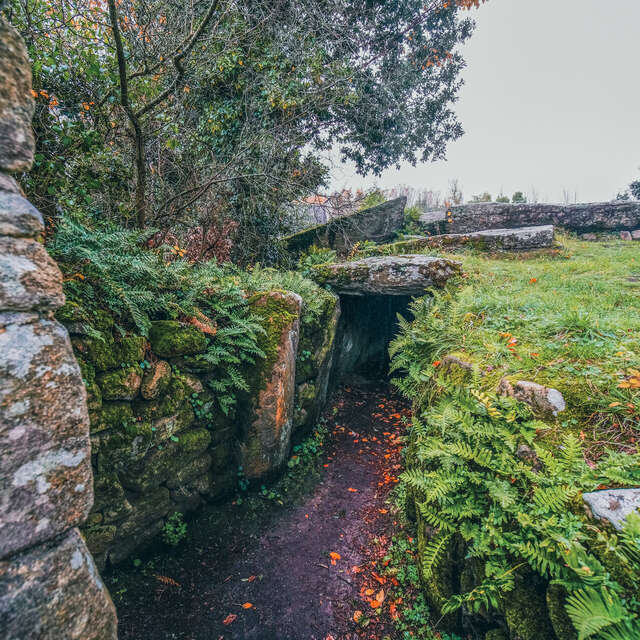 Tumulus de Mané Lud
