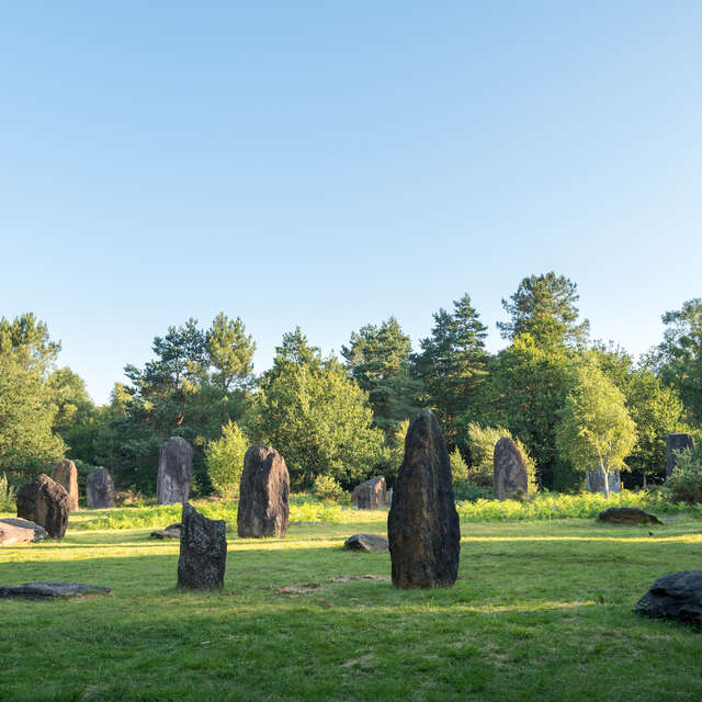 Les Menhirs de Monteneuf