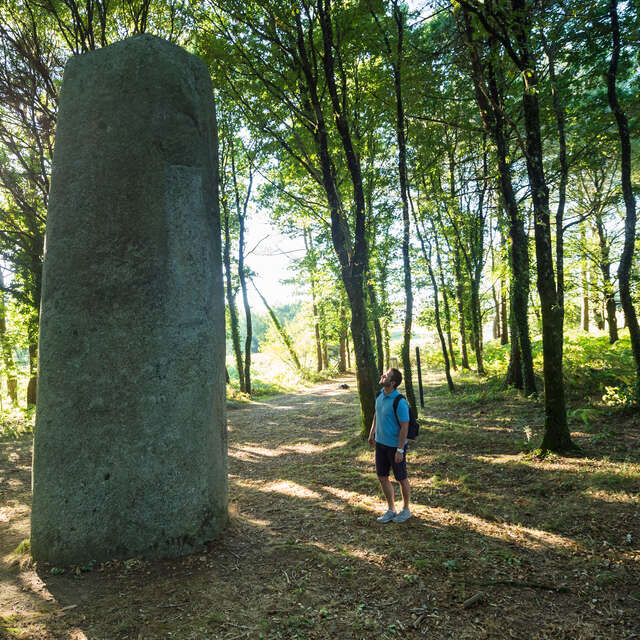 Grand menhir de Kermarquer