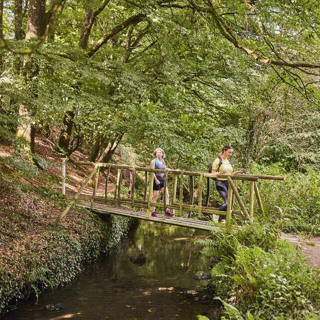 Circuit de Kerguéhennec - Bignan