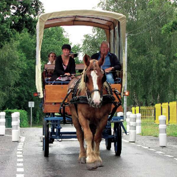 Promenade en calèche