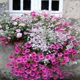 Saint-Jean-Brévelay