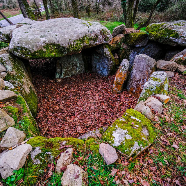 Dolmen de Kermarquer